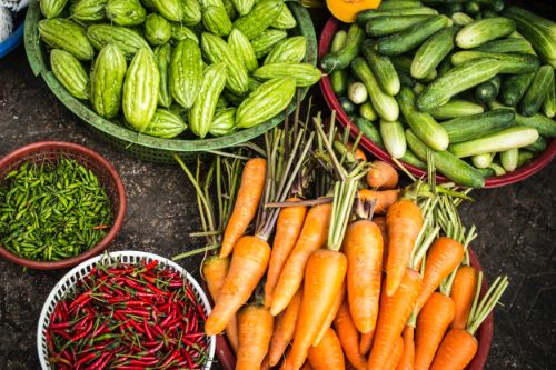 Agriculture Digital Marketing Agency